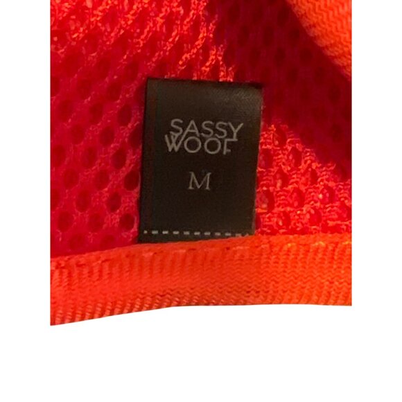 Disney Sassy Woof Harness Leash Set Blue Red Mickey Mouse Size Medium NWT - Picture 2 of 2